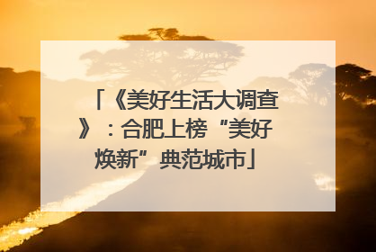 《美好生活大调查》：合肥上榜“美好焕新”典范城市
