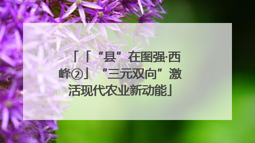 「“县”在图强·西峰②」“三元双向”激活现代农业新动能