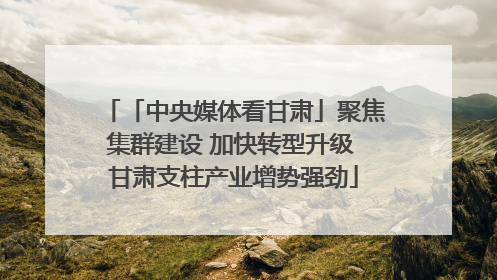 「中央媒体看甘肃」聚焦集群建设 加快转型升级 甘肃支柱产业增势强劲