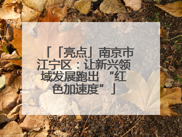 「亮点」南京市江宁区：让新兴领域发展跑出 “红色加速度”