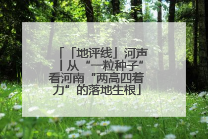 「地评线」河声丨从“一粒种子”看河南“两高四着力”的落地生根