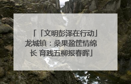 「文明彭泽在行动」龙城镇：桑果盈筐情绵长 育践五柳报春晖