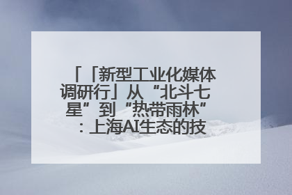 「新型工业化媒体调研行」从“北斗七星”到“热带雨林”：上海AI生态的技术商业共生密码