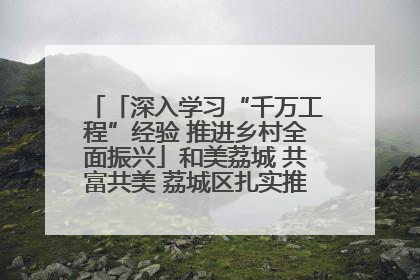 「深入学习“千万工程”经验 推进乡村全面振兴」和美荔城 共富共美 荔城区扎实推进乡村振兴工作