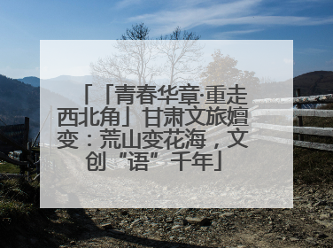 「青春华章·重走西北角」甘肃文旅嬗变：荒山变花海，文创“语”千年