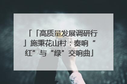 「高质量发展调研行」施秉花山村：奏响“红”与“绿”交响曲