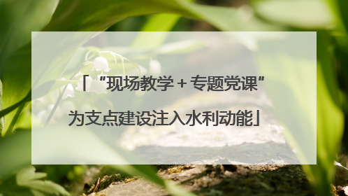 “现场教学＋专题党课”为支点建设注入水利动能