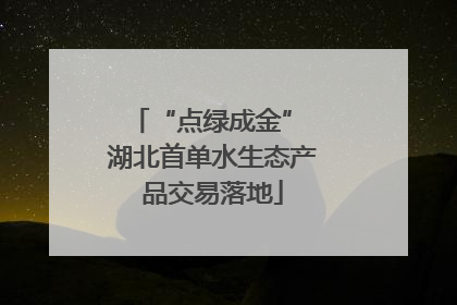 “点绿成金” 湖北首单水生态产品交易落地