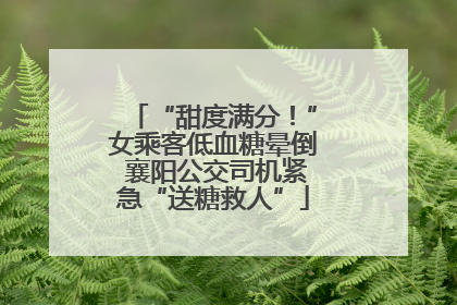 “甜度满分！”女乘客低血糖晕倒 襄阳公交司机紧急“送糖救人”