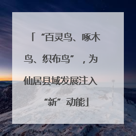 “百灵鸟、啄木鸟、织布鸟”，为仙居县域发展注入“新”动能