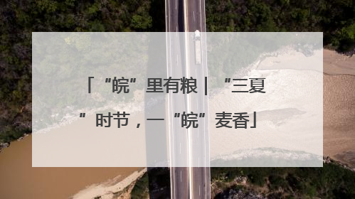 “皖”里有粮｜“三夏”时节，一“皖”麦香
