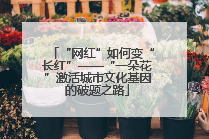 “网红”如何变“长红”——“一朵花”激活城市文化基因的破题之路