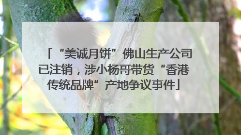 “美诚月饼”佛山生产公司已注销，涉小杨哥带货“香港传统品牌”产地争议事件