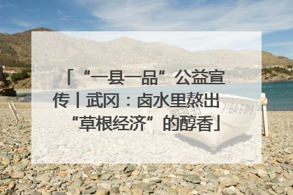 “一县一品”公益宣传丨武冈：卤水里熬出“草根经济”的醇香