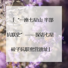 “一座七星山 半部抗联史”——探访七星砬子抗联密营遗址