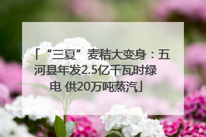 “三夏”麦秸大变身：五河县年发2.5亿千瓦时绿电 供20万吨蒸汽