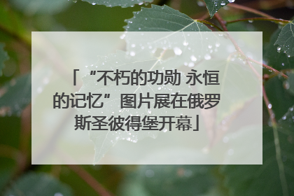 “不朽的功勋 永恒的记忆”图片展在俄罗斯圣彼得堡开幕