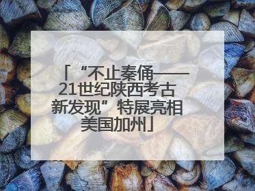 “不止秦俑——21世纪陕西考古新发现”特展亮相美国加州
