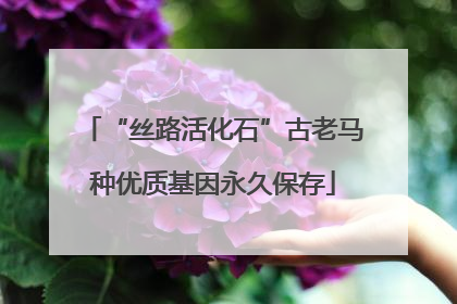 “丝路活化石”古老马种优质基因永久保存