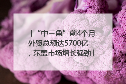 “中三角”前4个月外贸总额达5700亿，东盟市场增长强劲