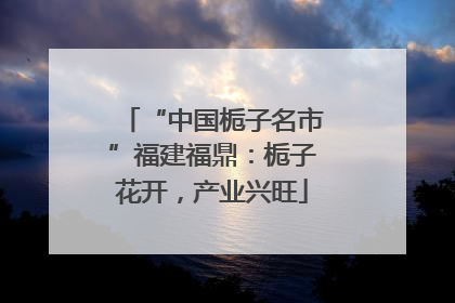 “中国栀子名市”福建福鼎：栀子花开，产业兴旺