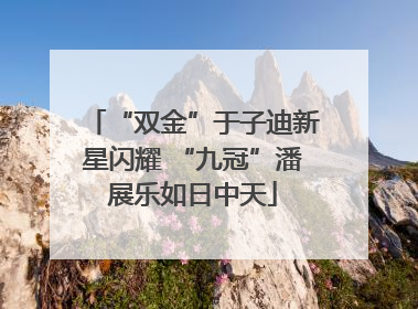“双金”于子迪新星闪耀 “九冠”潘展乐如日中天