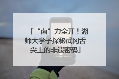“卤”力全开！湖师大学子探秘武冈舌尖上的非遗密码