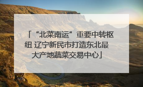 “北菜南运”重要中转枢纽 辽宁新民市打造东北最大产地蔬菜交易中心