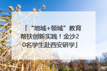 “地域+领域”教育帮扶创新实践！金沙20名学生赴西安研学