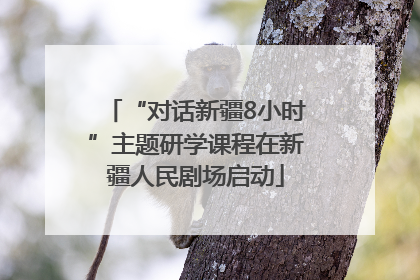 “对话新疆8小时”主题研学课程在新疆人民剧场启动