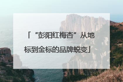 “彭阳红梅杏”从地标到金标的品牌蜕变