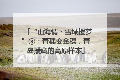 “山海情・雪域援梦”⑧：青稞变金稞，青岛援藏的高原样本