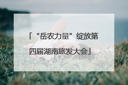 “岳农力量”绽放第四届湖南旅发大会