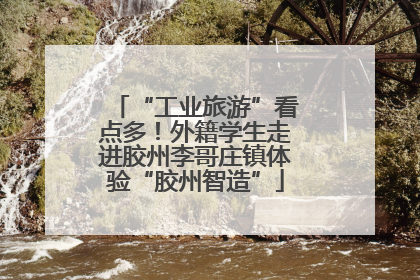 “工业旅游”看点多！外籍学生走进胶州李哥庄镇体验“胶州智造”