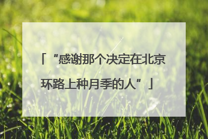 “感谢那个决定在北京环路上种月季的人”