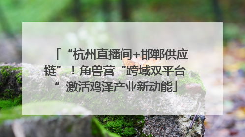 “杭州直播间+邯郸供应链”！角兽营“跨域双平台”激活鸡泽产业新动能