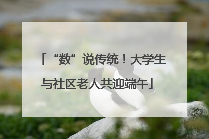 “数”说传统！大学生与社区老人共迎端午