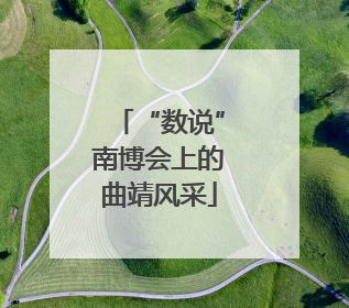 “数说”南博会上的曲靖风采