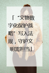 “文物数字化保护战略”写入法规，守护文明需担当