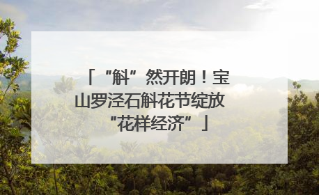 “斛”然开朗！宝山罗泾石斛花节绽放“花样经济”