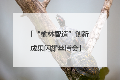 “榆林智造”创新成果闪耀丝博会