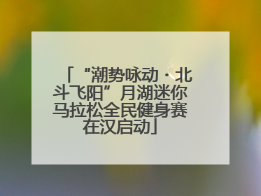 “潮势咏动・北斗飞阳”月湖迷你马拉松全民健身赛在汉启动