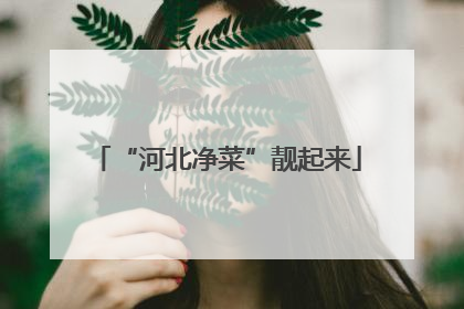 “河北净菜”靓起来