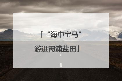 “海中宝马”游进霞浦盐田