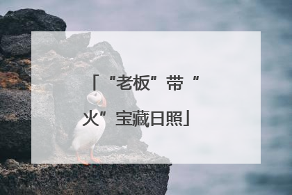 “老板”带“火”宝藏日照