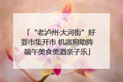 “老泸州·大河街”好耍市集开市 机器狗助阵端午美食美酒亲子乐