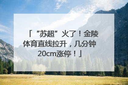 “苏超”火了！金陵体育直线拉升，几分钟20cm涨停！