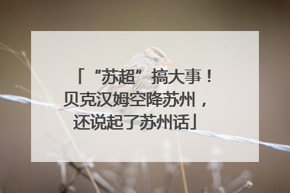 “苏超”搞大事！贝克汉姆空降苏州，还说起了苏州话