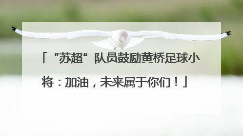 “苏超”队员鼓励黄桥足球小将：加油，未来属于你们！