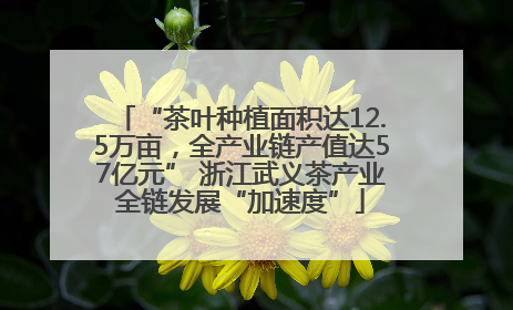 “茶叶种植面积达12.5万亩，全产业链产值达57亿元” 浙江武义茶产业全链发展“加速度”